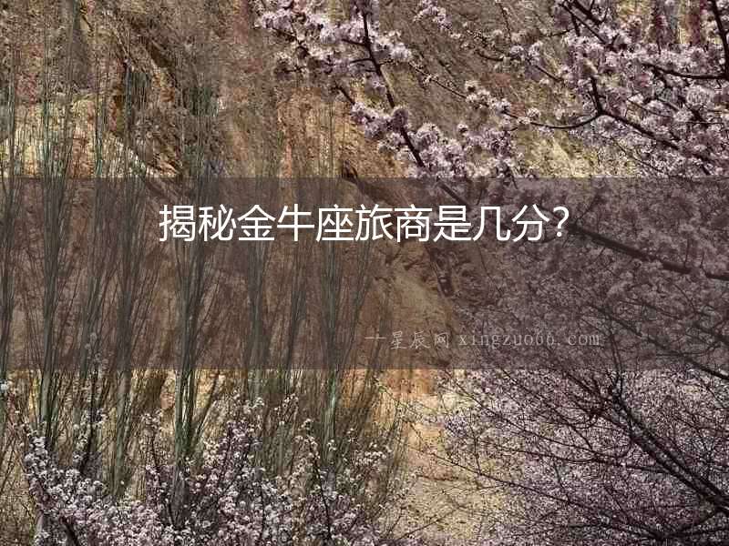揭秘金牛座旅商是幾分？