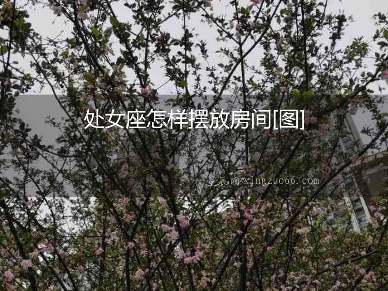 處女座怎樣擺放房間[圖]