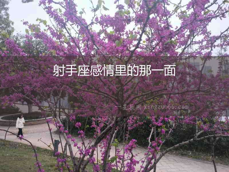 射手座感情里的那一面