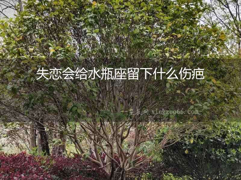 失戀會給水瓶座留下什么傷疤