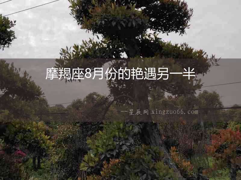 摩羯座8月份的艷遇另一半