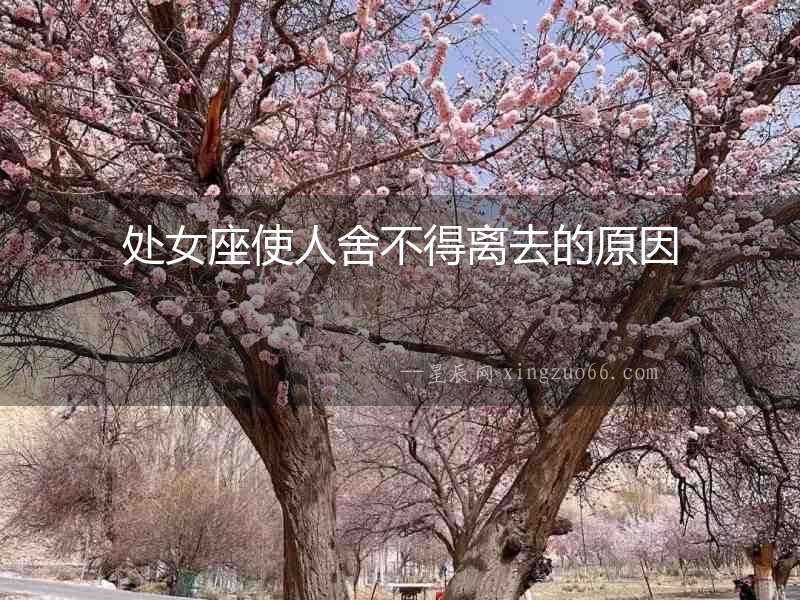 處女座使人舍不得離去的原因
