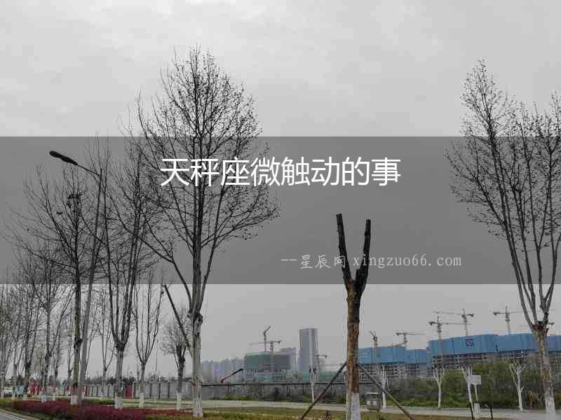 天秤座微觸動的事