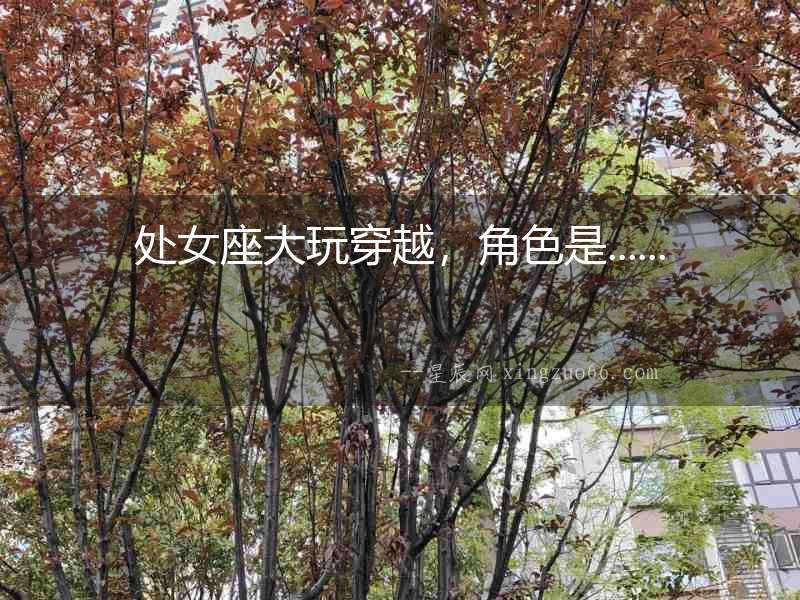 處女座大玩穿越，角色是......