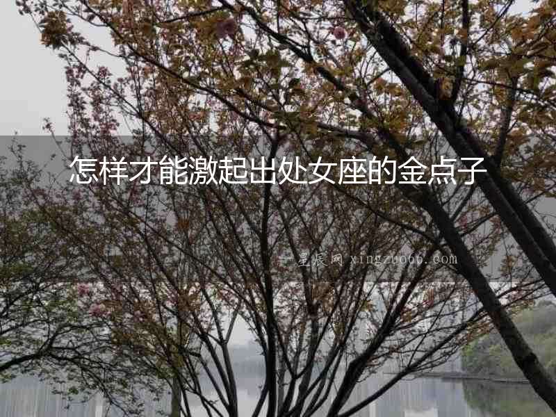 怎樣才能激起出處女座的金點子