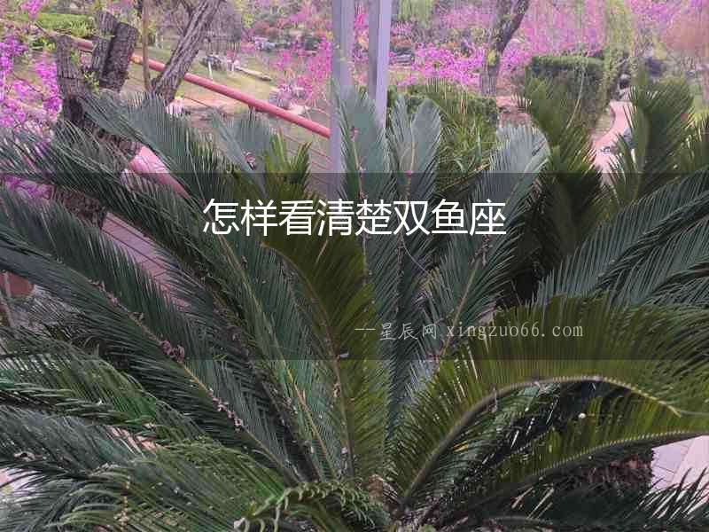 怎樣看清楚雙魚座