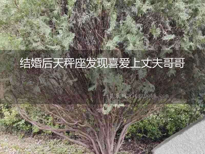 結婚后天秤座發現喜愛上丈夫哥哥