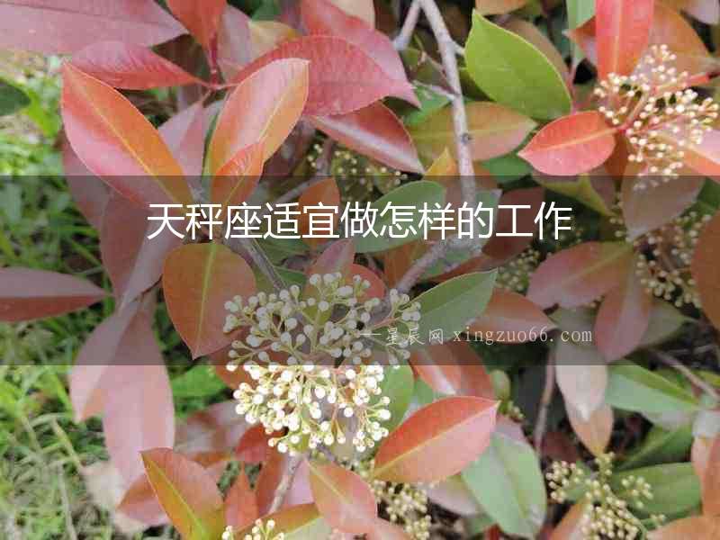 天秤座適宜做怎樣的工作
