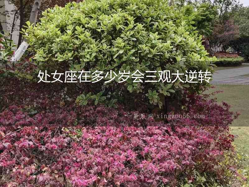 處女座在多少歲會三觀大逆轉