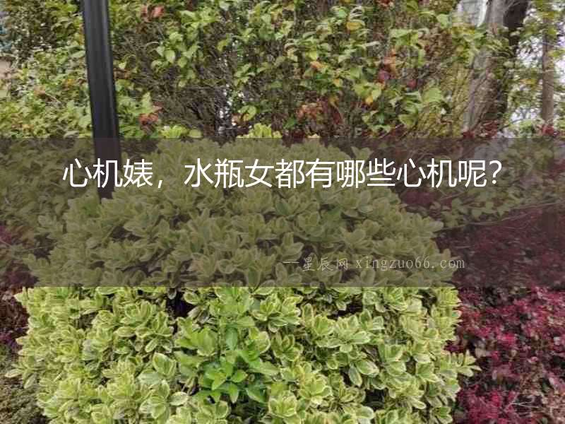 心機婊，水瓶女都有哪些心機呢？