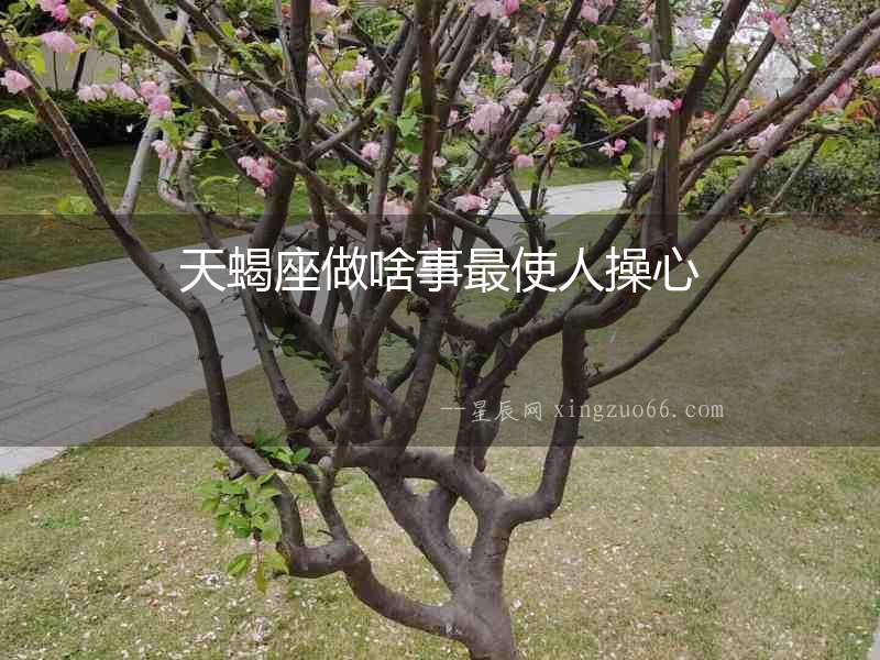 天蝎座做啥事最使人操心
