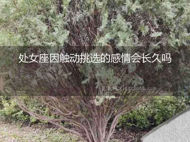 處女座因觸動挑選的感情會長久嗎