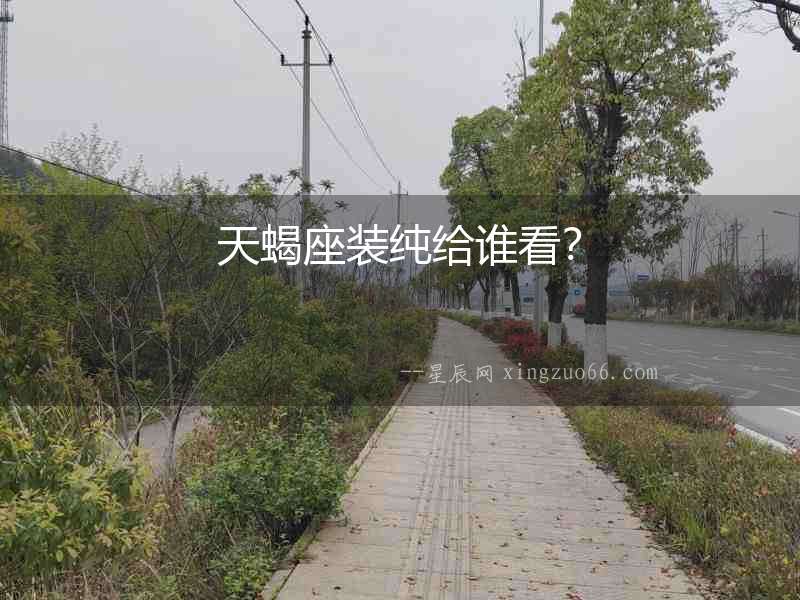 天蝎座裝純給誰看？
