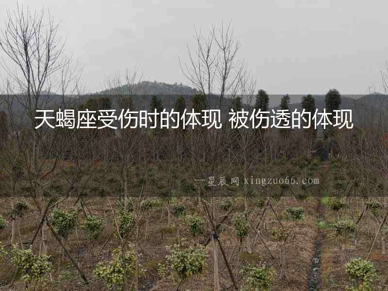 天蝎座受傷時的體現 被傷透的體現