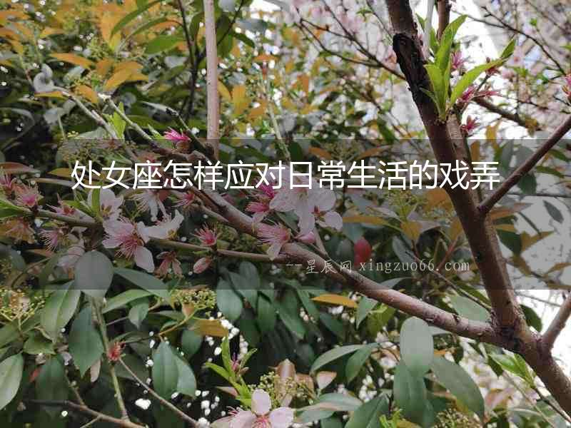 處女座怎樣應對日常生活的戲弄