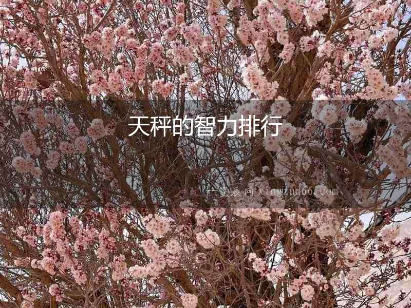 天秤的智力排行