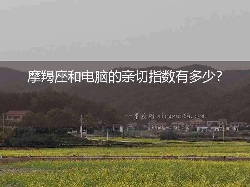 摩羯座和電腦的親切指數有多少？