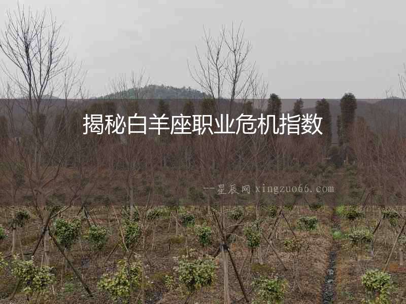 揭秘白羊座職業(yè)危機(jī)指數(shù)