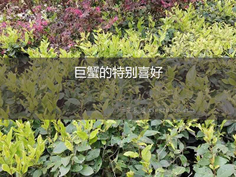 巨蟹的特別喜好