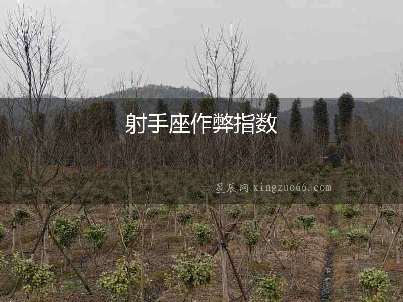 射手座作弊指數(shù)