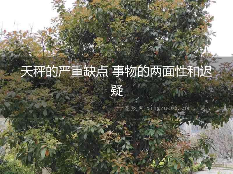 天秤的嚴重缺點 事物的兩面性和遲疑