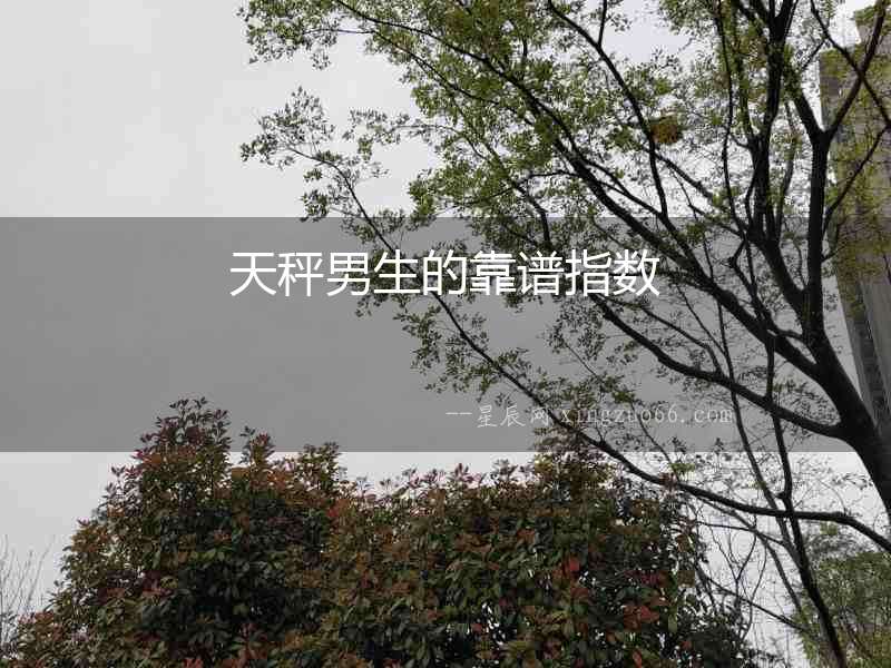 天秤男生的靠譜指數