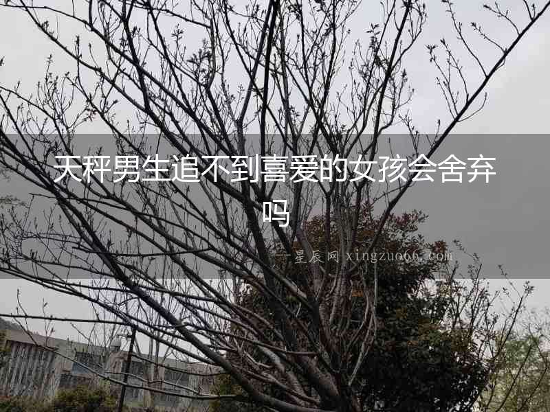 天秤男生追不到喜愛的女孩會舍棄嗎
