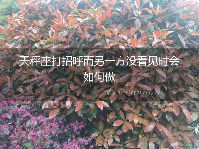 天秤座打招呼而另一方沒看見時會如何做