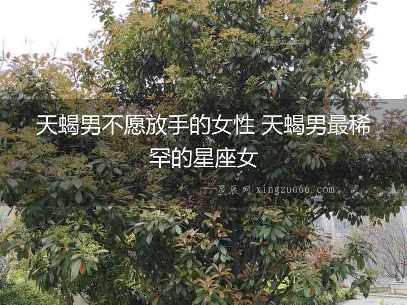 天蝎男不愿放手的女性 天蝎男最稀罕的星座女