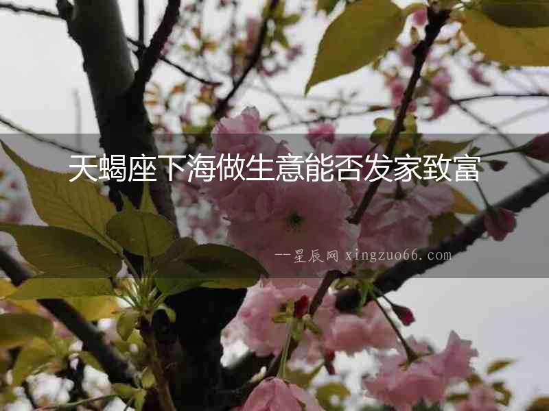 天蝎座下海做生意能否發家致富