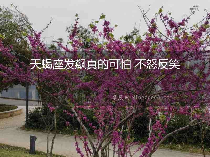 天蝎座發飆真的可怕 不怒反笑