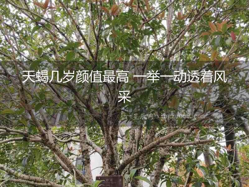 天蝎幾歲顏值最高 一舉一動透著風采