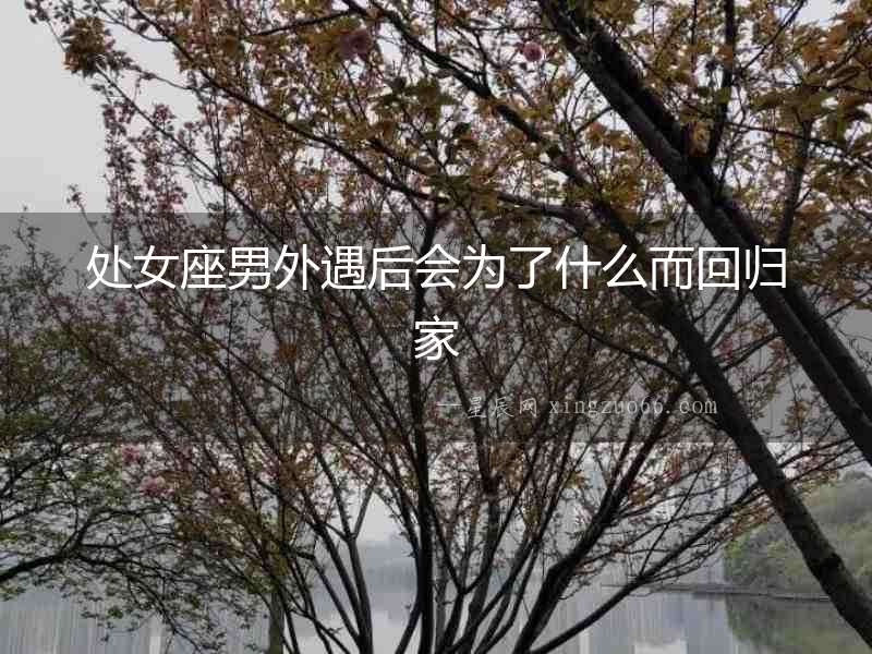處女座男外遇后會為了什么而回歸家