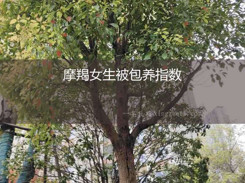 摩羯女生被包養指數
