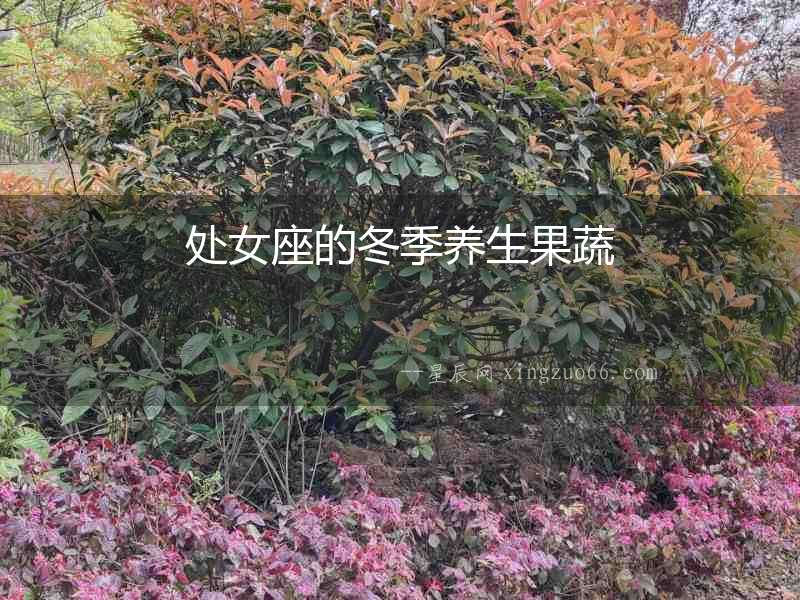處女座的冬季養生果蔬