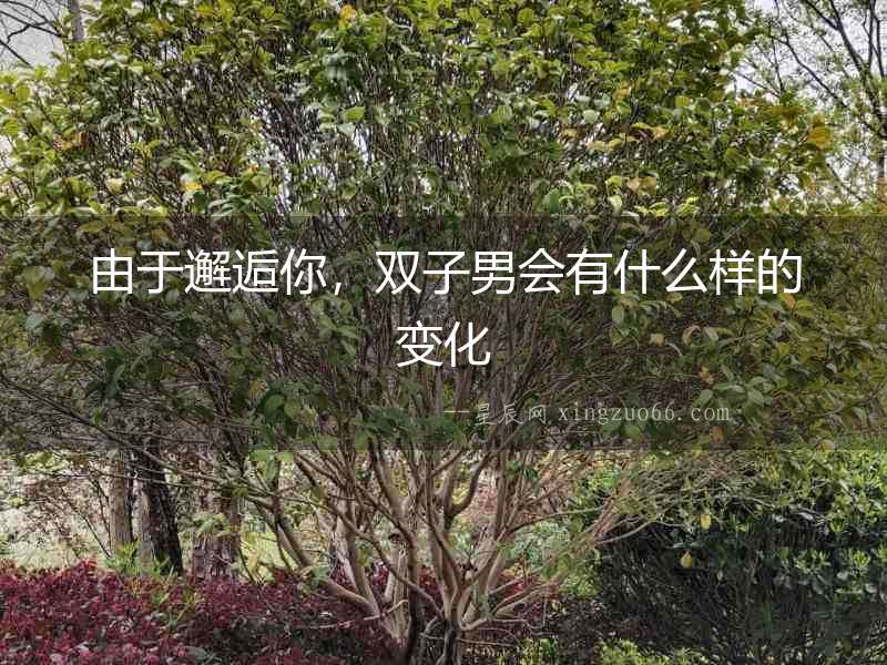 由于邂逅你，雙子男會有什么樣的變化