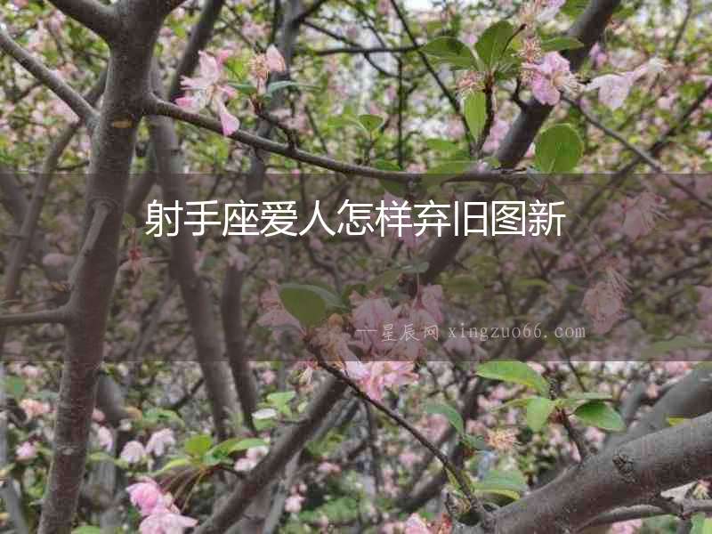 射手座愛人怎樣棄舊圖新