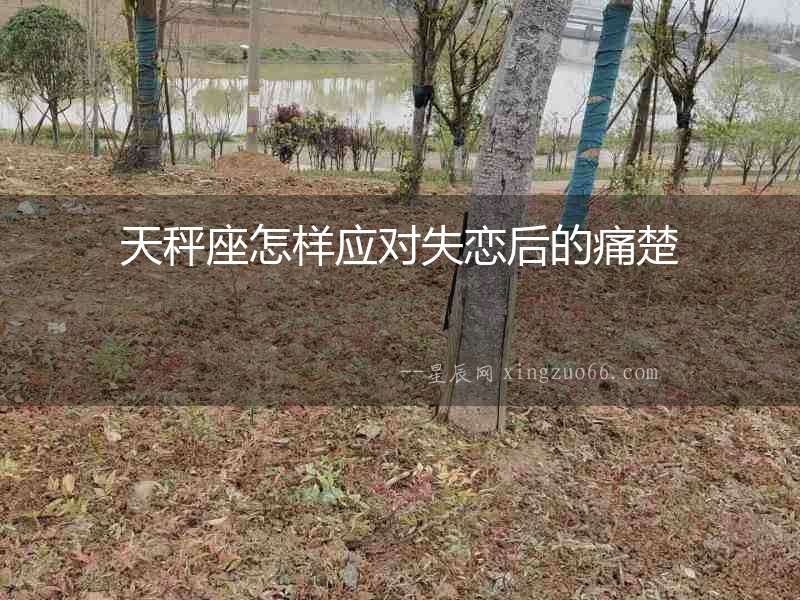 天秤座怎樣應(yīng)對失戀后的痛楚