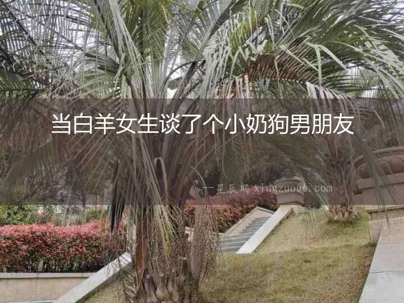 當白羊女生談了個小奶狗男朋友