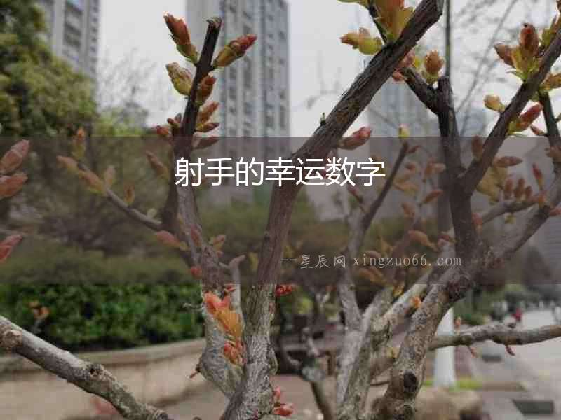 射手的幸運數字