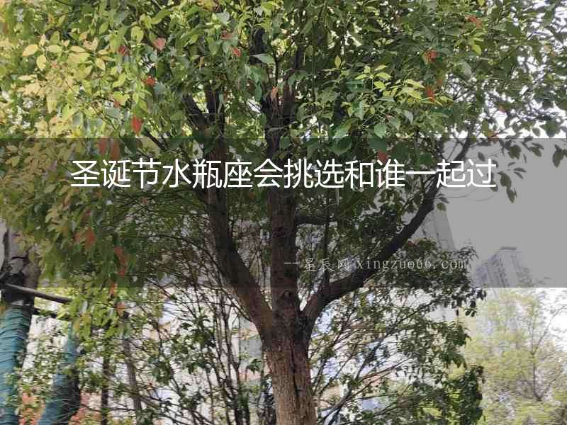 圣誕節水瓶座會挑選和誰一起過