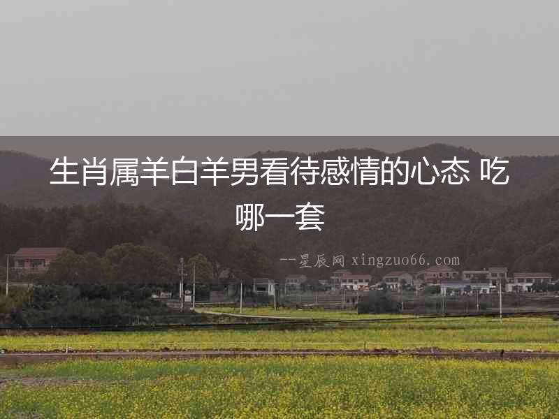 生肖屬羊白羊男看待感情的心態(tài) 吃哪一套