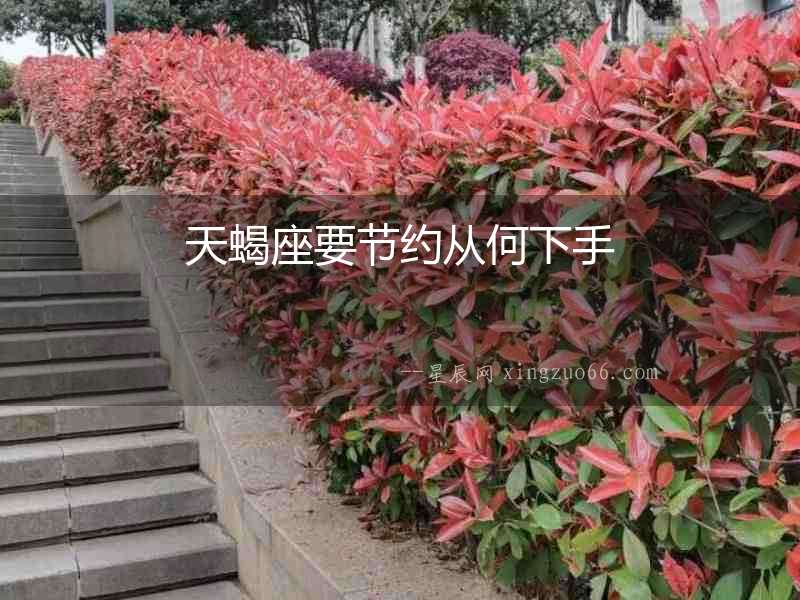 天蝎座要節(jié)約從何下手