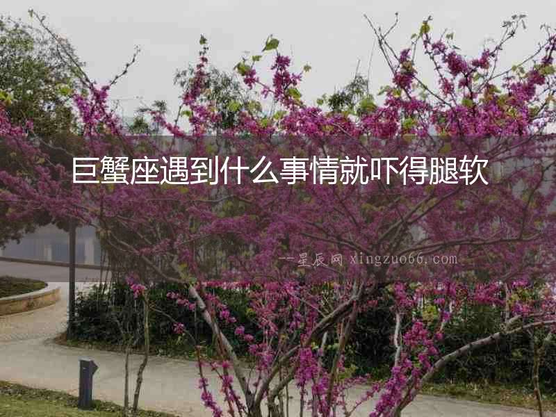 巨蟹座遇到什么事情就嚇得腿軟
