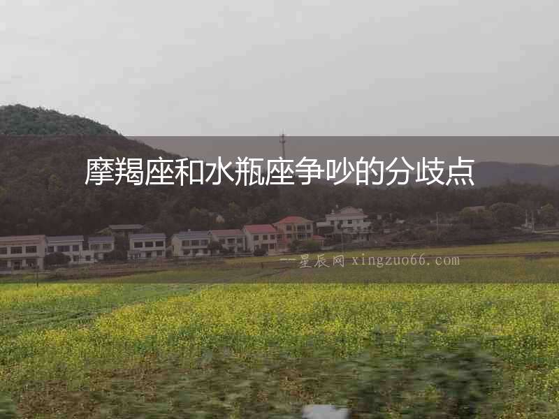 摩羯座和水瓶座爭吵的分歧點