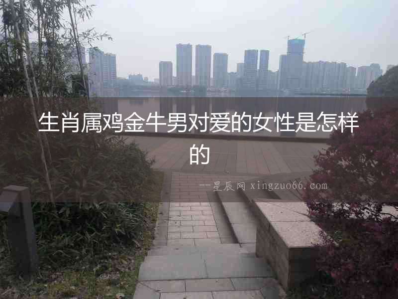 生肖屬雞金牛男對愛的女性是怎樣的