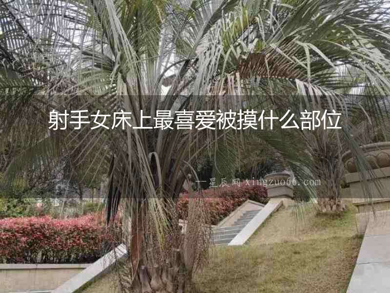 射手女床上最喜愛(ài)被摸什么部位