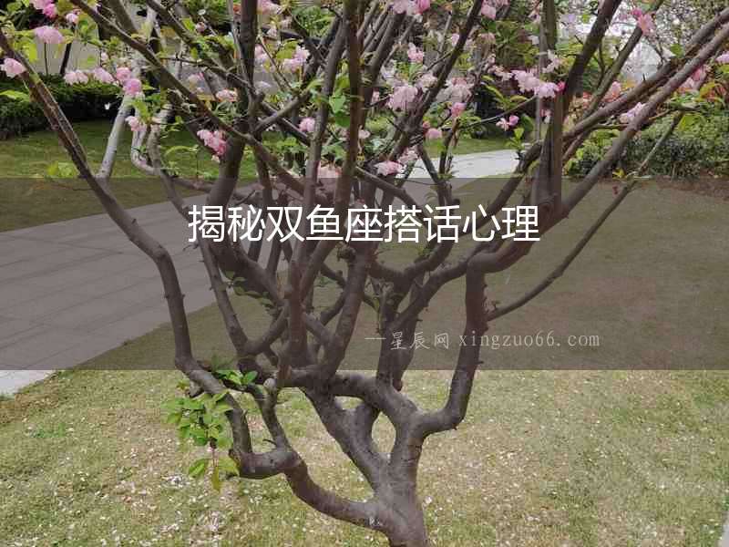 揭秘雙魚座搭話心理
