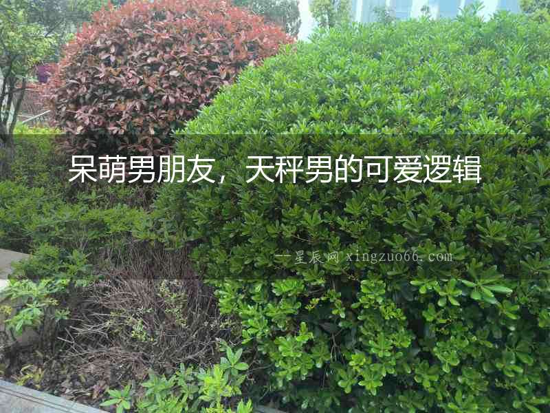 呆萌男朋友，天秤男的可愛邏輯