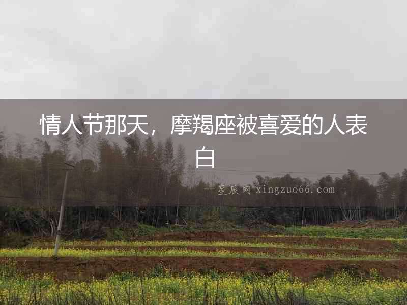 情人節(jié)那天，摩羯座被喜愛的人表白